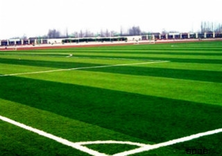 �����(ch��ng)�����ƺ/�����Ƥ